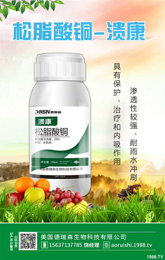     �O���������r(ji��)��