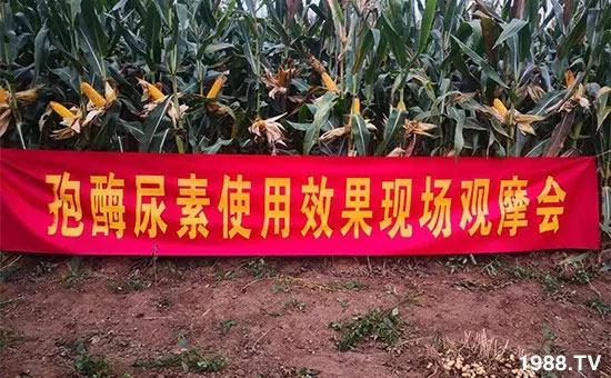 �ٿ���С�����a(ch��n)1471��pø����ȫ�����������߮a(ch��n)������֮�o����