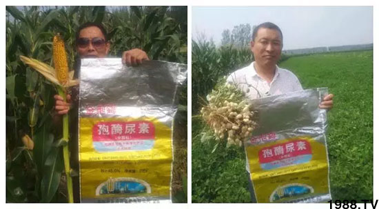 �ٿ���С�����a(ch��n)1471�����pø����ȫ�����������߮a(ch��n)������֮�o����