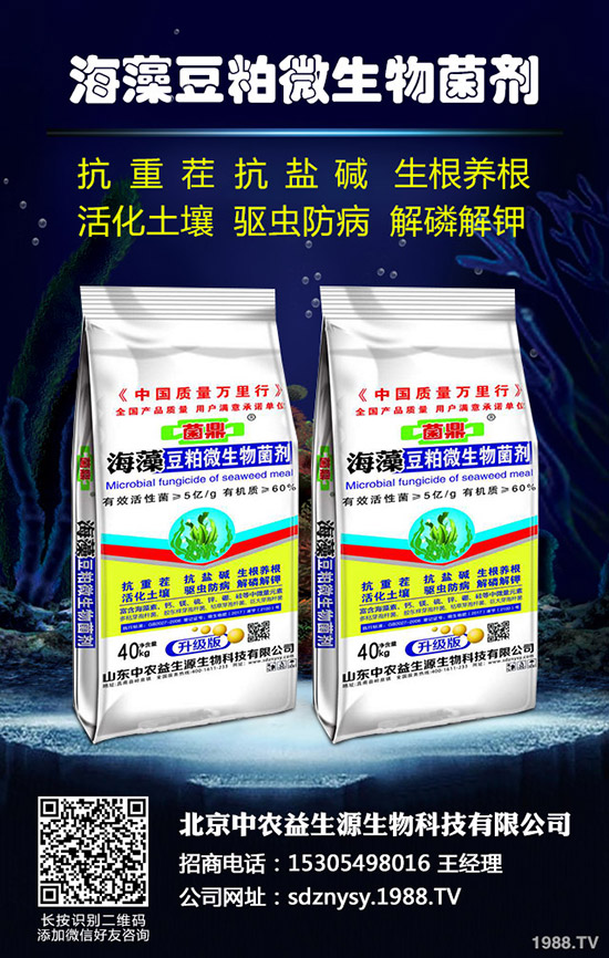     2019��10�µ�һ������(f��)�Ϸʃr(ji��)�������߄�(sh��)����