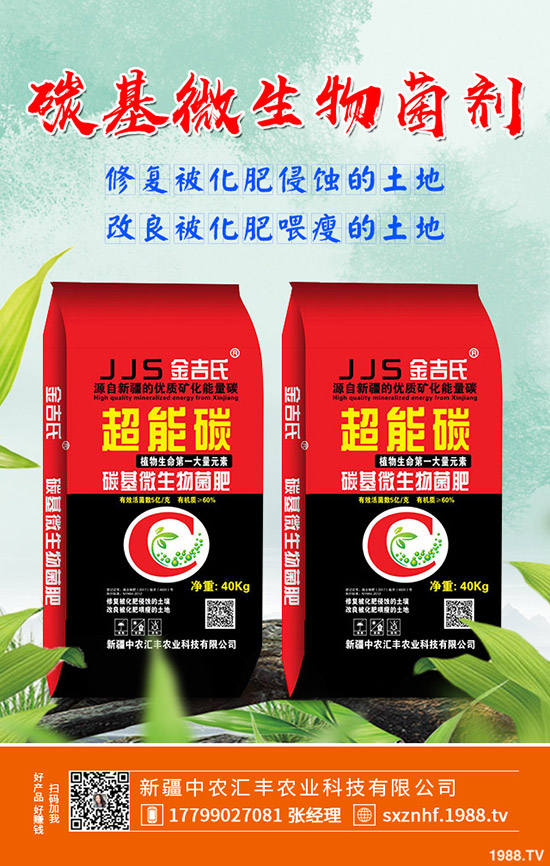 ľ����ô�NֲЧ�����W���@���c���p�ɴ��S����