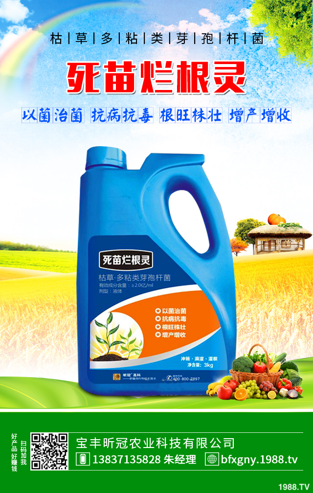 �۲˺��ĸ�����ô�������۲˺��ĸ���Ҫ���Y����