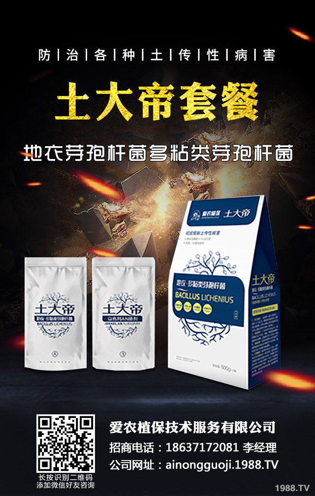 �ﲥС����ô����|(zh��)�����ﲥС������|(zh��)����Ҫ�c