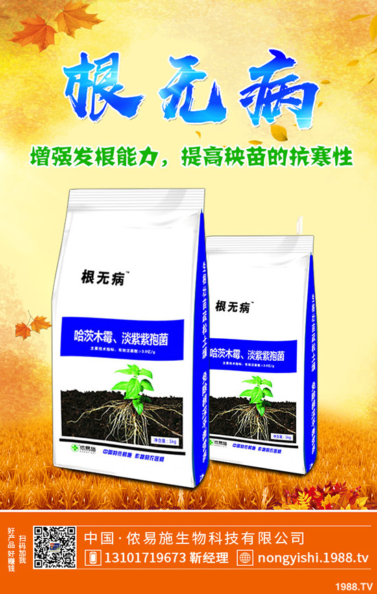     ���c��(ji��)ǰһ�@��؛������������һ�@�����߄��A(y��)�y2019-9-30