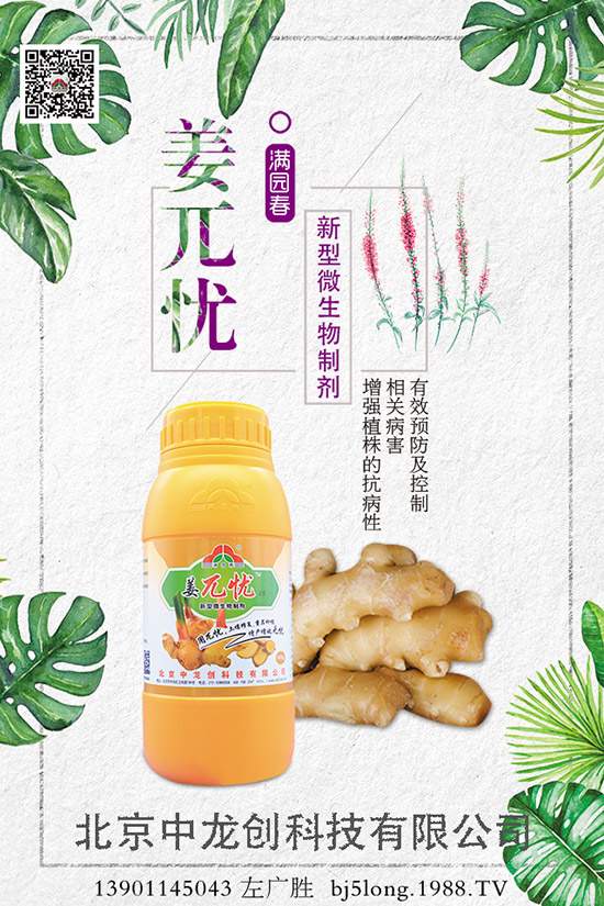 ����ʩ�ʵķ�������Щ�����ʩ�ʲ��ܸ߮a(ch��n)������ʩ�ʼ�����