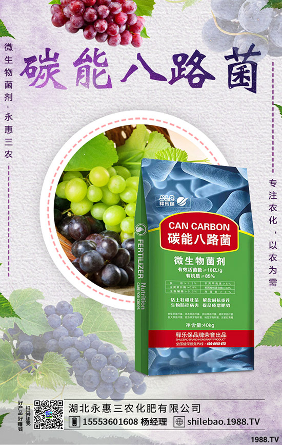 2019-9-7最新鉀肥價(jià)格行情動(dòng)態(tài)評(píng)述,多少錢一噸?