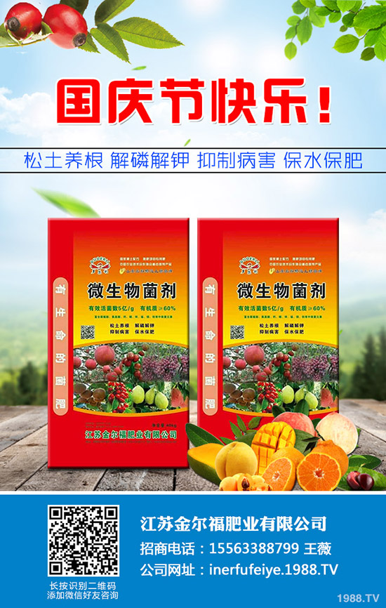 秋季香菜如何種植?香菜種植時(shí)間及種植技術(shù)、管理注意事項(xiàng)!