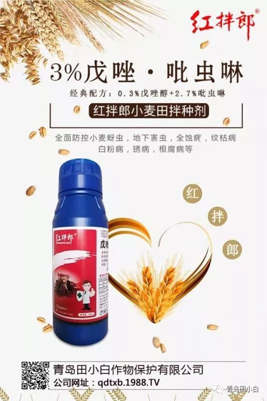 С����N���x�Ă�(g��)����С����N���x�ü���