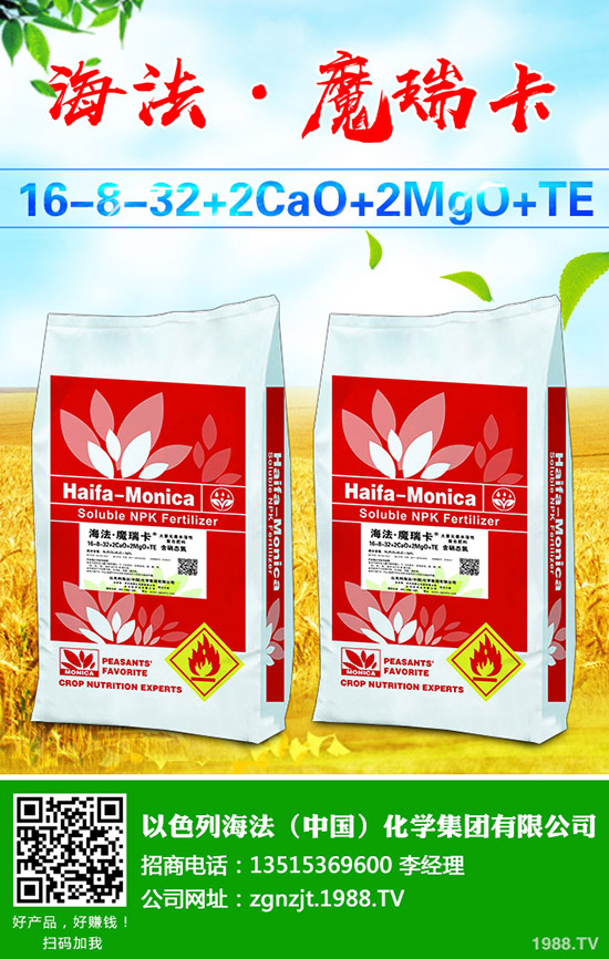     ���ڇ���(n��i)���@�r���߄ݷ����������A(y��)�y2019-9-6