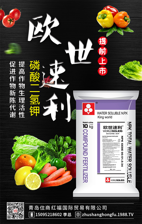 �t���������ô׷�ʺ����t��K�������ʩ�ʷ�����