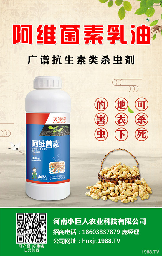 ���ݚ��x(ch��ng)���r(ji��)��