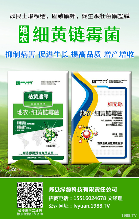 ���·Nʲô�߲˱��^����2019��9���߲˷Nֲָ��