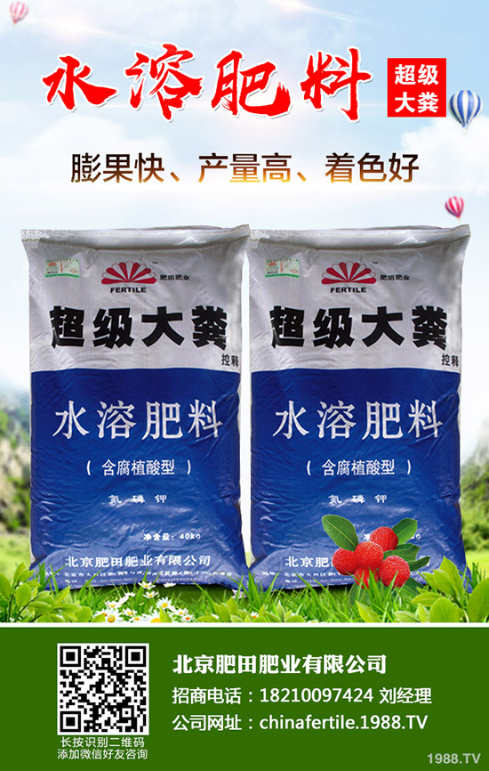 ��ݮ���˼t������������ô�k����ݮ�t�����������R(sh��)�e�����ͷ��Σ�