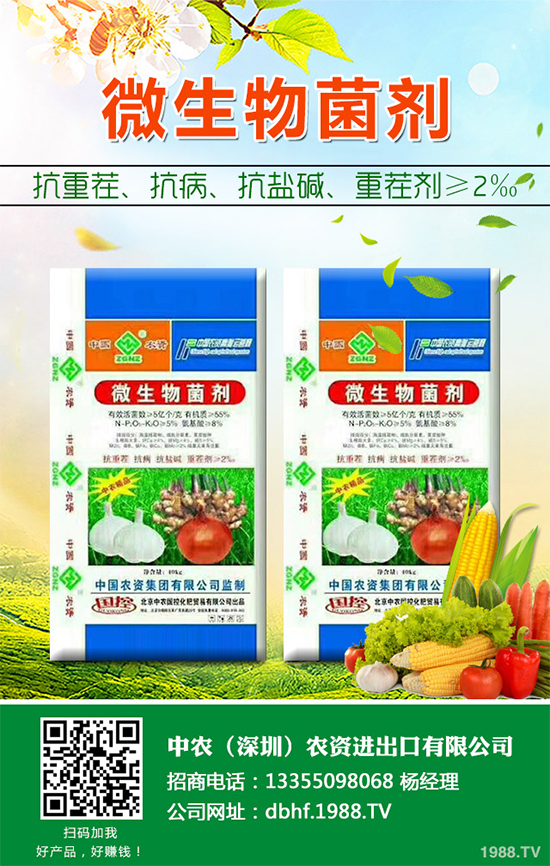 �޻���ô�Nֲ�a������������׌����޻����p�ɸ߮a