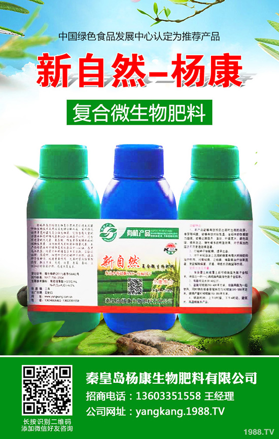 拐棗如何種植，拐棗種植技術(shù)及種植前景！