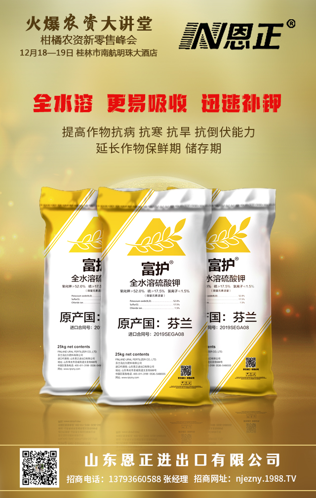 山東恩正進(jìn)出口有限公司1