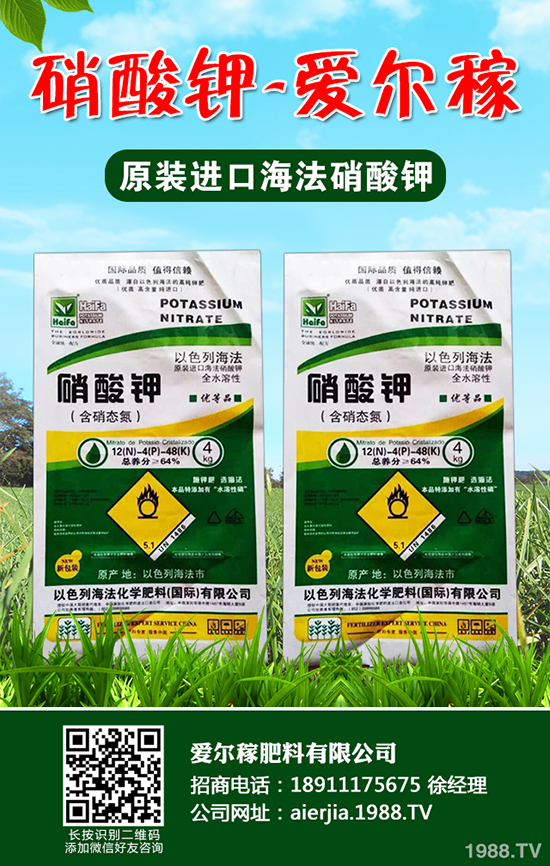 小蔥怎么種植產(chǎn)量高？小蔥的種植小技巧！