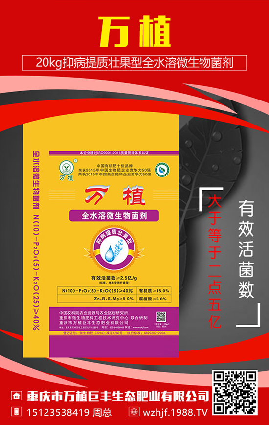 ���˘�ʲô�r(sh��)��ʩ�ʺã�������ʲô��