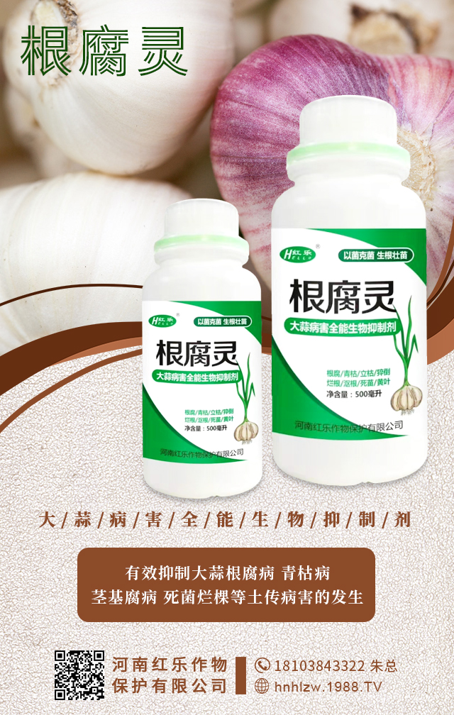 ���ϼt�����ﱣ�o(h��)���޹�˾