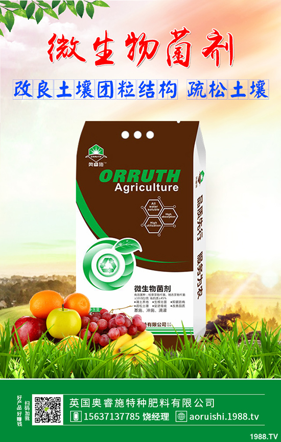 �O�������ʵ���ô�k���O���������ʵ͵�ԭ�򼰽�Q������