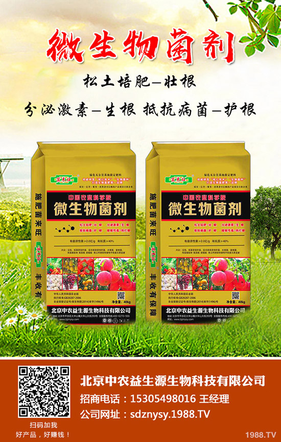     冬季小麥到底是年前澆水還是年后小麥澆水！有什么注意事項(xiàng)！