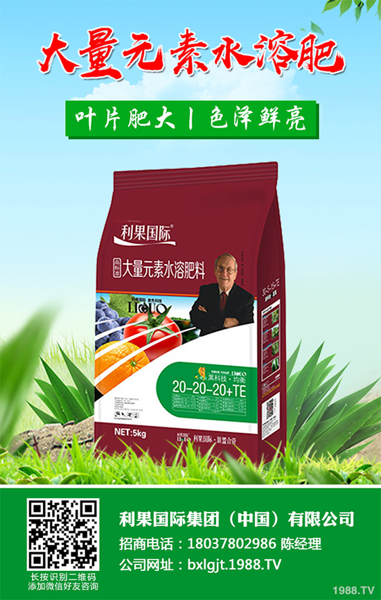     �۲˰߿ݲ�����ЩΣ���Y�����۲˰߿ݲ���Σ��������