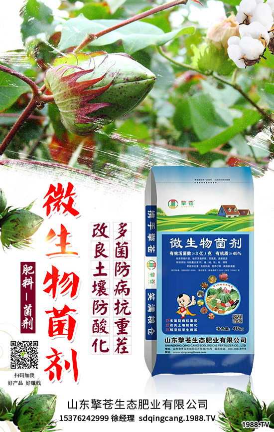     ����(ji��)���R��2020��1�������ܷ�ͦ�r�����������߄��A(y��)�y��