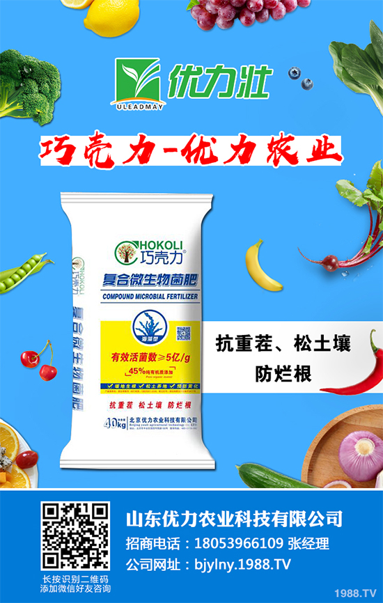 �۲�ܛ�������u������ԓ��η��Σ��۲�ܛ������Σ���c����