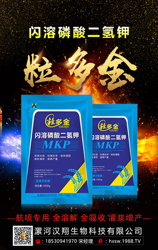 柚子如何種植拔高產(chǎn)量呢？柚子的科學(xué)種植方法！