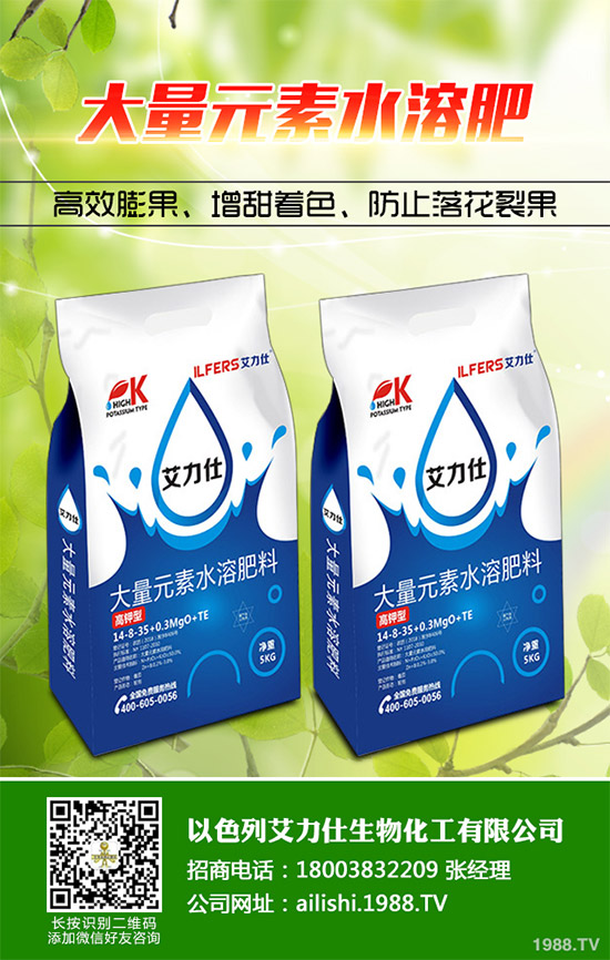 �۲˸���������ΰl(f��)������ԓ���ӷ��Σ����(l��i)��������