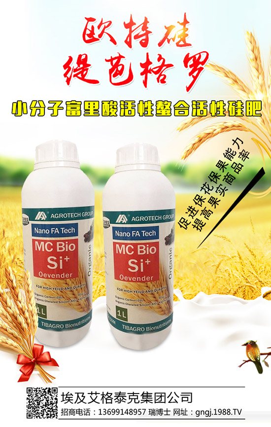 ���������Y(ji��)��������ô�������������������������