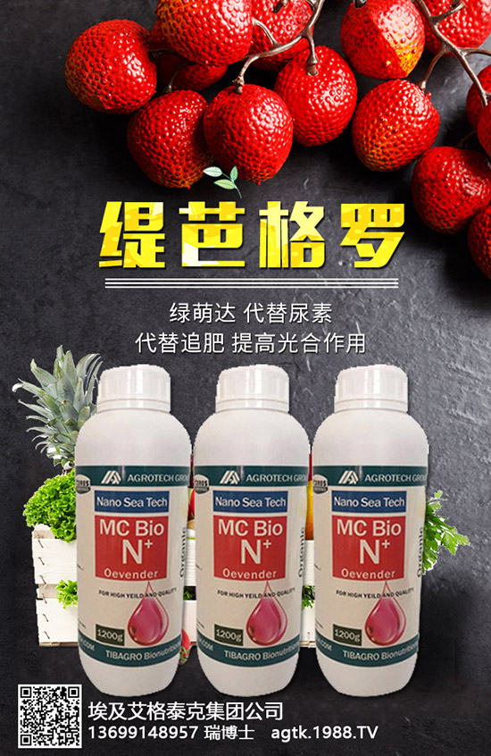 ���A�ĠI�B(y��ng)�r(ji��)ֵ����Щ����Ч�c��������Щ��������Щ��Ⱥʳ����