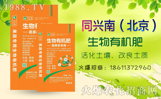     2020⛷ʃr���߄���Σ����������߄��A(y��)�y��