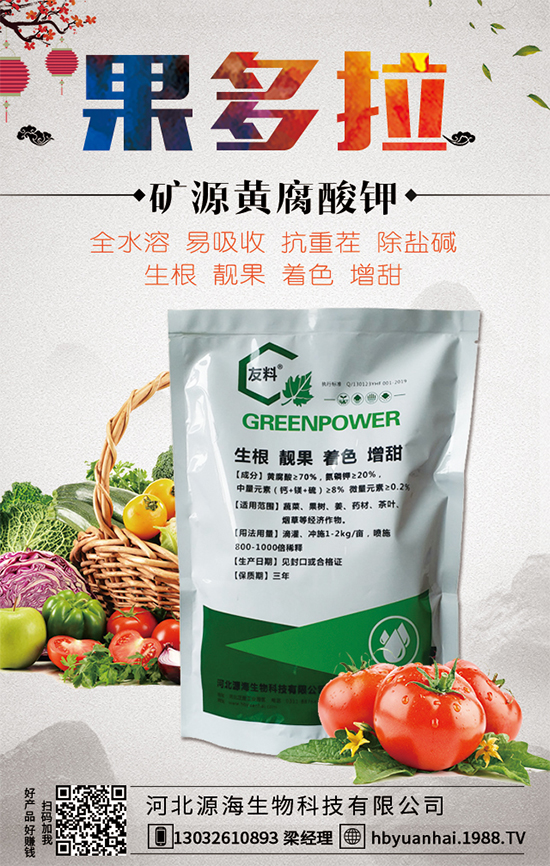 馬蹄種植方法要點(diǎn)有哪些?馬蹄種植常見(jiàn)病害!