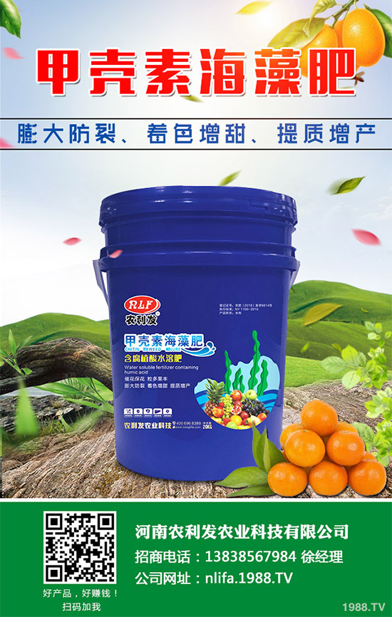 �t���c�uѪ������Щ�^(q��)�e�����߹�Ч�÷��cʹ�ý���