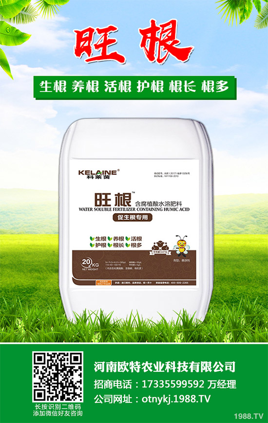 �t������Щ���湦Ч���t�ٵĹ�Ч���ü�������Ⱥ