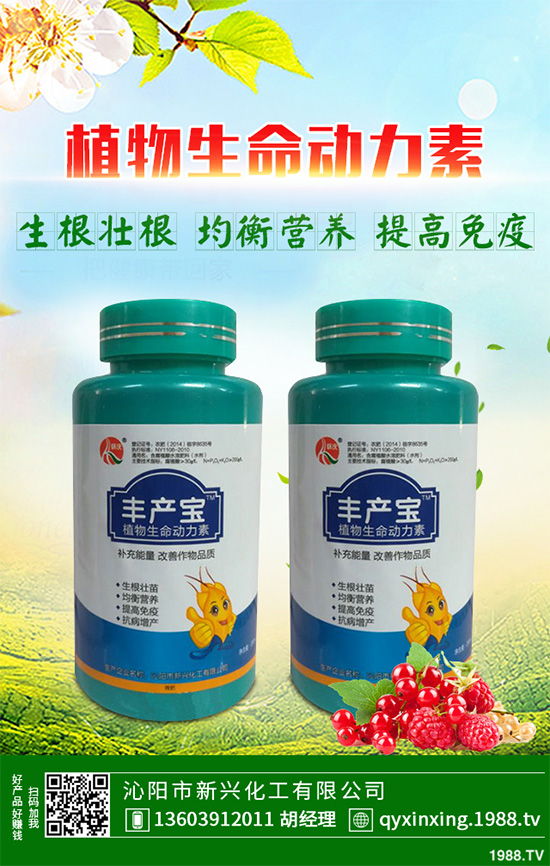 ���Ӳ��ܷN�ô�ײ�����ײ˸߮a(ch��n)�Nֲ���g(sh��)Ҫ�c