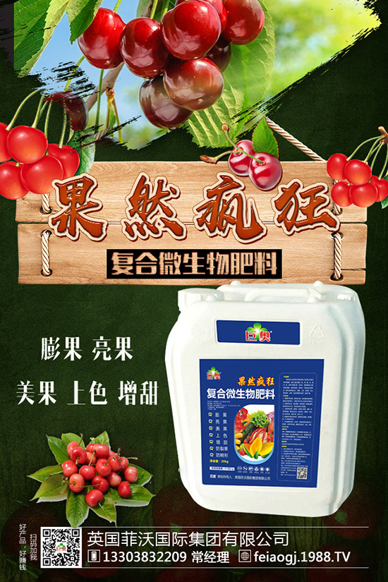 如何種植糯玉米才能實(shí)現(xiàn)高產(chǎn)?糯玉米種植要點(diǎn)有哪些