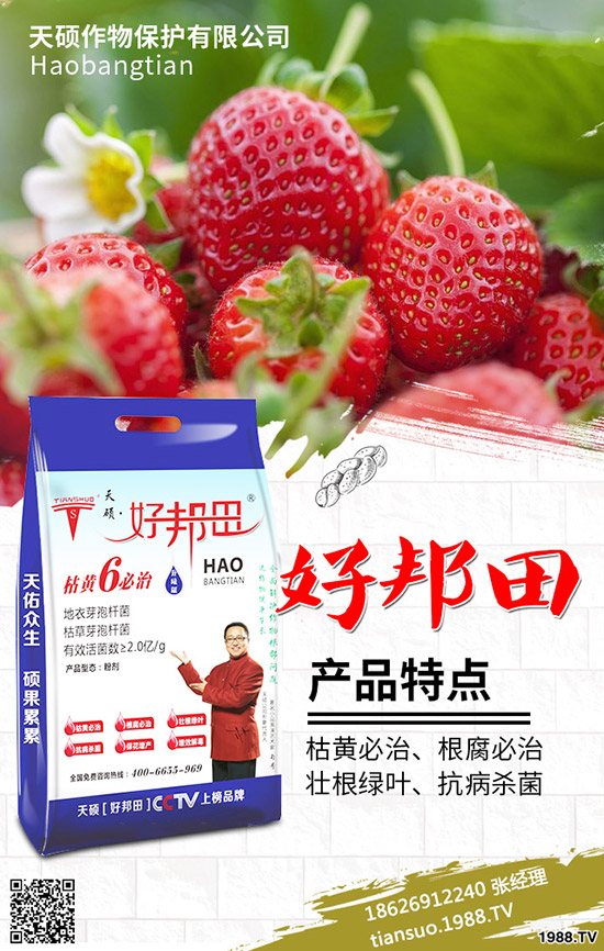 2020年農(nóng)村種植什么水果賺錢？哪些種果樹品種比較好？