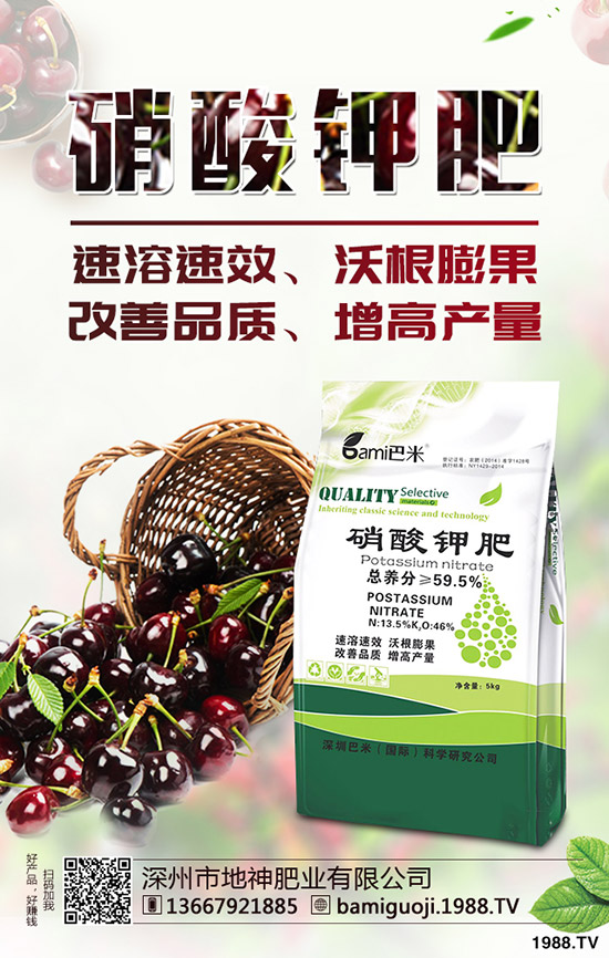 �t������r(sh��)�g��ʲô�r(sh��)�����t�����緽������Щ��