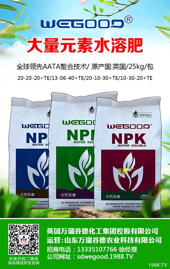 ¶������ʲô�r��Nֲ��¶�������߮a(ch��n)�Nֲ���g(sh��)