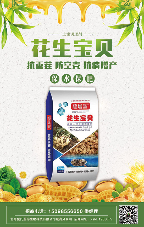     2020���������@�r�����ݱP�������@�r�����