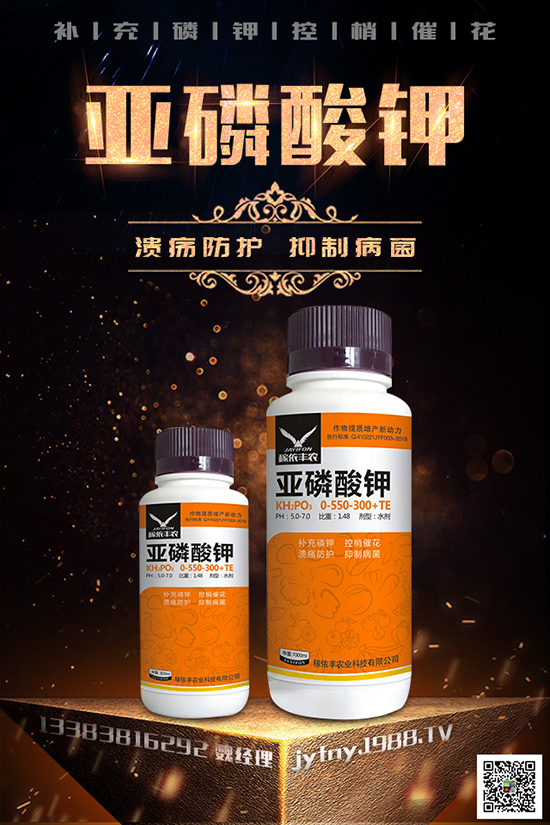 2020種黑番茄賺錢嗎？黑番茄的種植方法有哪些？