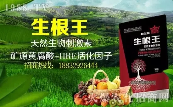 С���q�r(ji��)�����e��(b��o)�r(ji��)���^2500Ԫ/����