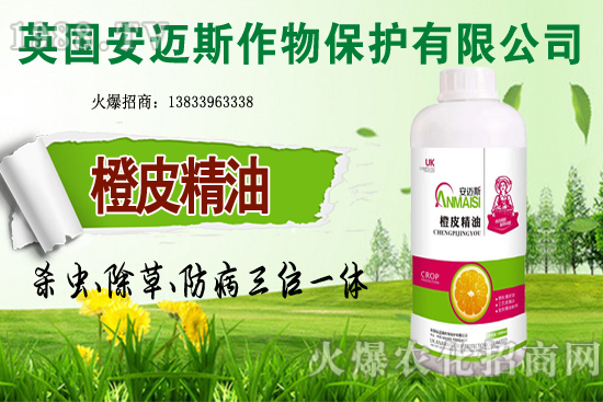 10�·Nֲ��Щ�߲˸����m�����g����Ҫ���cץ���Ď��c��