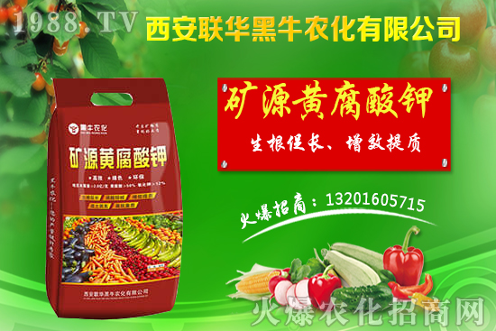 �＾����ԓ��ι������＾������푪(y��ng)������Ĵ��`�^(q��)��