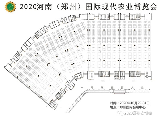 2020�����r����