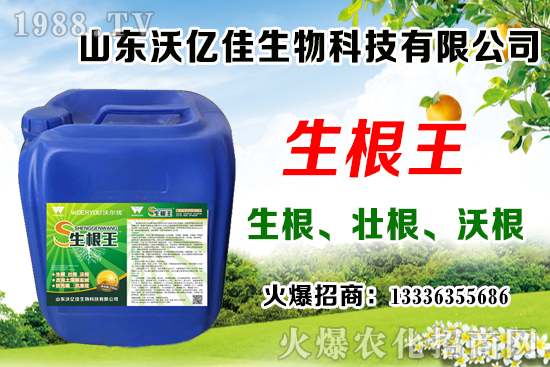 Ӱ푲�ݮ��ѿ�ֻ���������Щ����ݮ��ѿ�ֻ����c��ֲ����Ҫ�c��