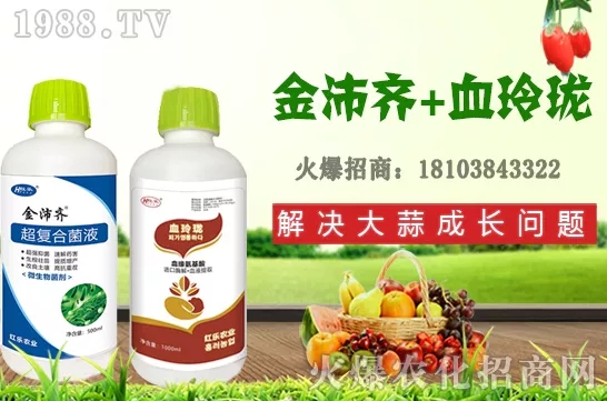 四季石榴生長習性有哪些,四季石榴栽植技術及花果期管理!