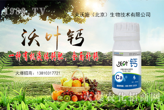 ����߀���ٝq�᣿2020��10��20�ջ����r������